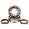 Hot Rods crankshaft bearing & seals kit K074 Suzuki RMZ 250 2010-2023