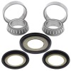 ProX 24.110048 steering stem bearing & seal set for Suzuki RM125 RM250 2005 2006 2007 2008 2009 2010 2011 2012,RM-Z RMZ450 RM-Z450 2005-2007. Offers you everything you need to make your bike turning like it is brand new. P/N: 24.110048