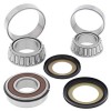 ProX 24.110052 steering stem bearing & seal set for Triumph SpeedTriple 900 1995, SpeedTriple 1050 2008. Offers you everything you need to make your bike turning like it is brand new. P/N: 24.110052