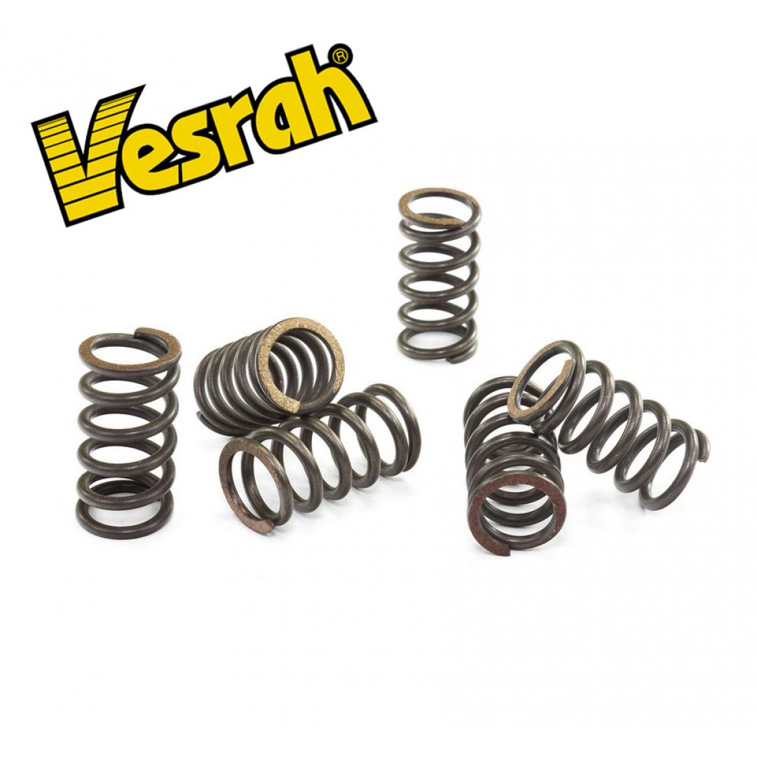 Vesrah SK-318 clutch springs set for Suzuki FX125, SP200, DR200, DR200S, DR200SE, GSF400 Bandit400, GSXR250, Yamaha FZR600, 1986-2020, P/N: SK-318
