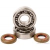 Hot Rods crankshaft bearings & seals kit K020 KTM SX 65 2003-2008