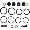 All Balls Racing 18-3087 front brake caliper repair kit for Yamaha XP500 T-max500 2004-2007, FZ6 2004-2006, FZ6R 2009-2017, XVS1100 V-Star 2000-2009, XVS1300 VSTAR 2007-2017