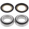 All Balls Racing 22-1067 steering stem bearing & seal set for aprilia RXV450 RXV550 SXV450 SXC550 RXV SXV 4.5 5.5 2006 2007 2008 2009 2010 2011. Offers you everything you need to make your bike turning like it is brand new.